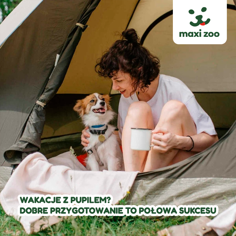 MAXI ZOO: Wakacje z pupilem? Dobre przygotowanie to połowa sukcesu