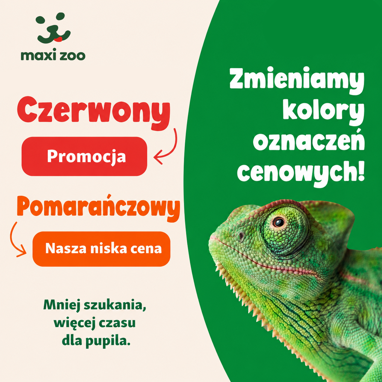 MAXI ZOO: dwa kolory – prostsze zakupy