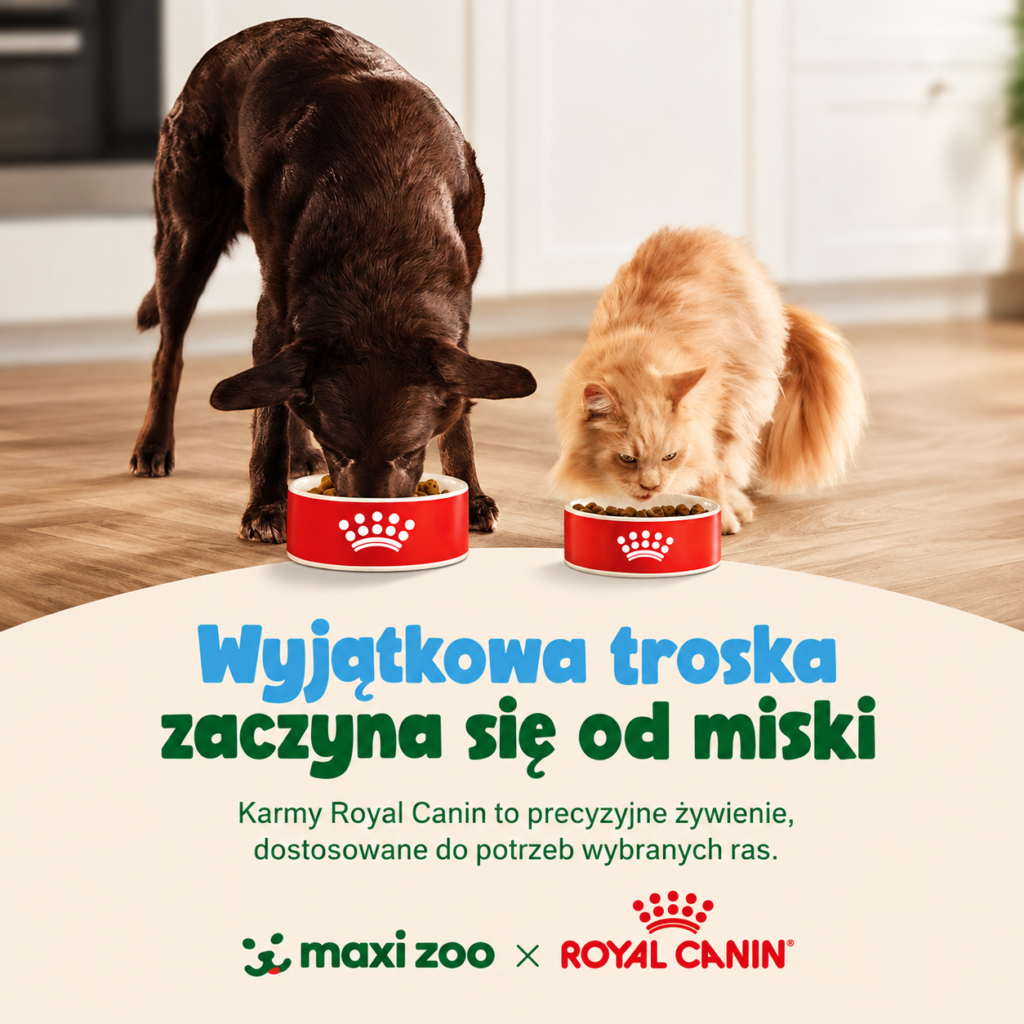 MAXI ZOO: zdrowie zaczyna się od miski! Maxi Zoo i Royal Canin wspólnie o specjalistycznym żywieniu zwierząt