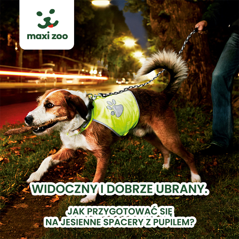 MAXI ZOO: widoczny i dobrze ubrany